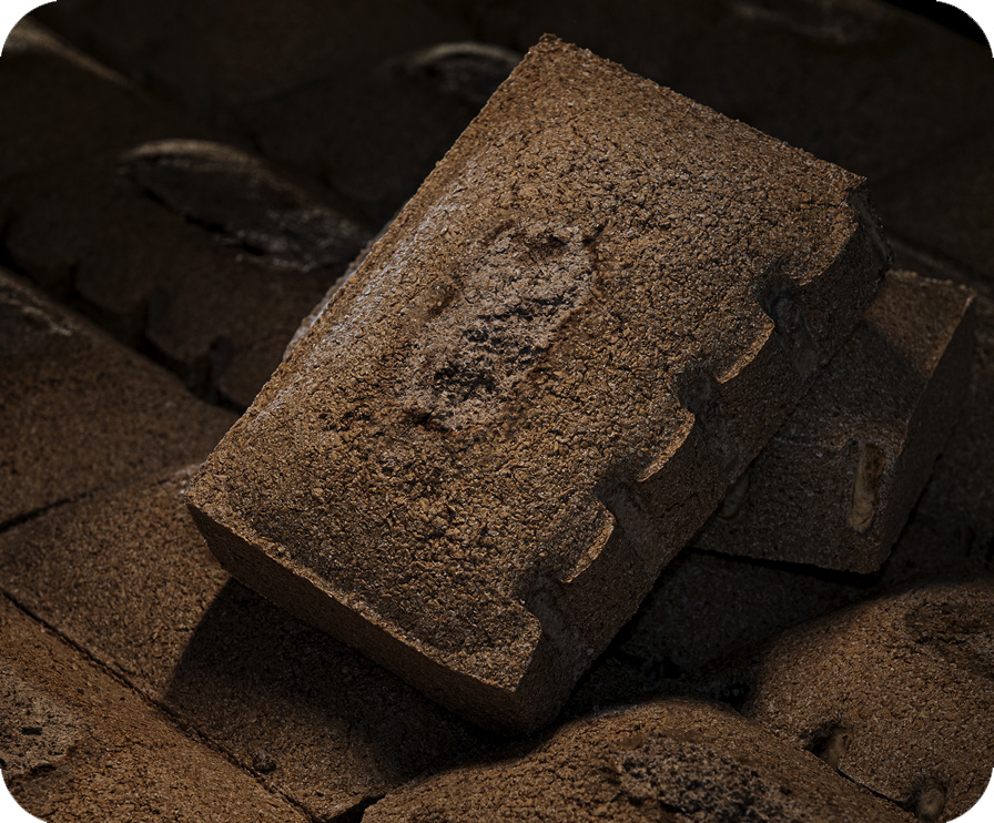 首页-tyc太阳城集团公司官网