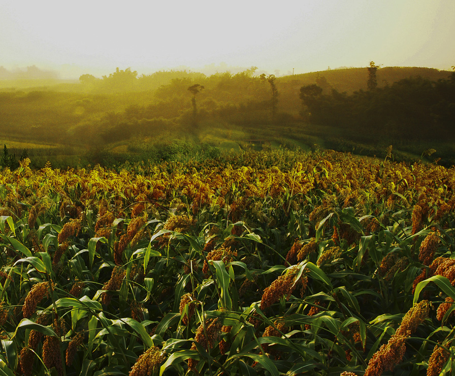 首页-tyc太阳城集团公司官网